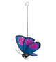 Butterfly Bouncie - Papillon