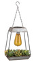 Edison Succulent Solar Lantern - Pyramid