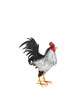 Sussex Rooster Decor 15"