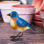 Songbird Decor - Bluebird