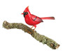 Songbird Decor - Cardinal