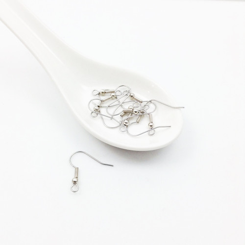 Earring Spring-Ball Surgical Steel Hooks [2 pairs]