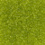 Miyuki Seed Beads 11-9143 Transparent Chartreuse 24 grams