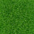 Miyuki Seed Beads 11-9144 Transparent Lime