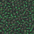 Miyuki Seed Beads Size 6/0 6-9146S Silver Lined Green