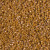 Miyuki Delica Beads 11/0 DB2273 Glazed Opaque Pecan