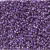 Miyuki Delica Beads 11/0 DB2509 Duracoat Galvanised Dark Lilac 7.2 grams