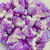 Acrylic Plastic KAWAII Cute Aesthetics STRAWBERRY BEADS ~20mm - PURPLE [5 pcs]