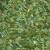 Miyuki Bugle Beads, 3mm, BGL1-9258 Chartreuse AB