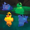 Floating Lighted Racers