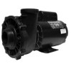 Waterway Pump 2-speed Executive 56 Frame, S/D - 4hp, 230V 2.5" Suction - 3721621-03