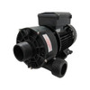 pump: 1/15HP 240VAC 60HZ LX circ-master
