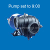 Dimension One Replacement Pump 1.5hp, 2-Speed, 110V , 9:00 Sta-Rite BN60 - 01562-01D