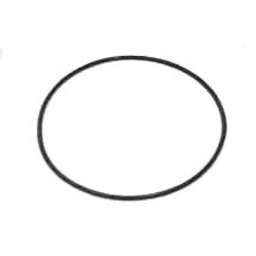Aqua Flo XP3 Pump Volute O-Ring 92200310
