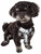 Pet Life  'Bonatied' Mesh Reversible And Breathable Adjustable Dog Harness W/ Designer Neck Tie Pet Life  'Bonatied' Mesh Reversible And Breathable Adjustable Dog Harness W/ Designer Neck Tie