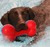 Pet Life Bone Shaped Durable Chew And Fetch Teether Dog Toy Pet Life Bone Shaped Durable Chew And Fetch Teether Dog Toy