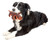 Pet Life Animal Dura-Chew Reinforce Stitched Durable Water Resistant Plush Chew Tugging Dog Toy Pet Life Animal Dura-Chew Reinforce Stitched Durable Water Resistant Plush Chew Tugging Dog Toy