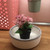White Woven Cotton Rope Basket with Lid, 3 Pieces Decorative Toy Storage Baskets Shelf Basket White Woven Cotton Rope Basket with Lid, 3 Pieces Decorative Toy Storage Baskets Shelf Basket