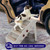 4 Step Anti-Slip Collapsible Plastic Pet Stairs Ladder For Small Dog and Cats 4 Step Anti-Slip Collapsible Plastic Pet Stairs Ladder For Small Dog and Cats
