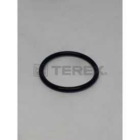 O-RING, 1", PORT FLANGE