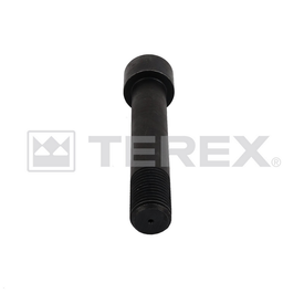 BOLT, CAP / SKT HEAD, M36x205mm, GR12.9, (SAME AS CR040-083-001)
