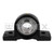 BEARING, 75mm, PILLOW BLOCK