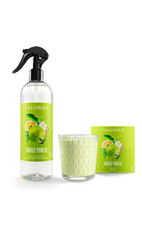 Ginger Pomelo Air Care Set