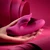 Venus Silicone Rechargeable Clitoral Vibrator by Evolved Novelties EN-RS-7456-2