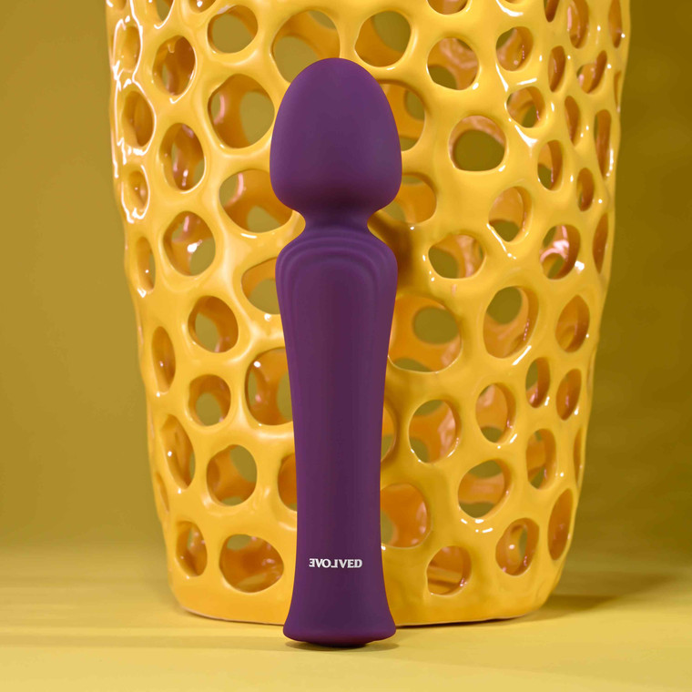 My Secret Wand Rechargeable Flexible Head Vibrator by Evolved Novelties EN-RS-3466-2