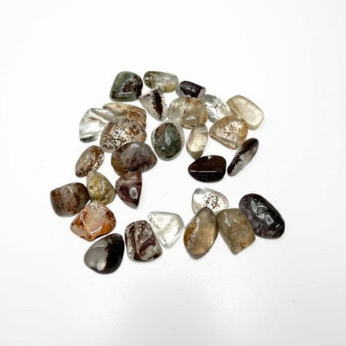 Garden Quartz Tumbled Stone | Lodolite Shamanic Dream Stone