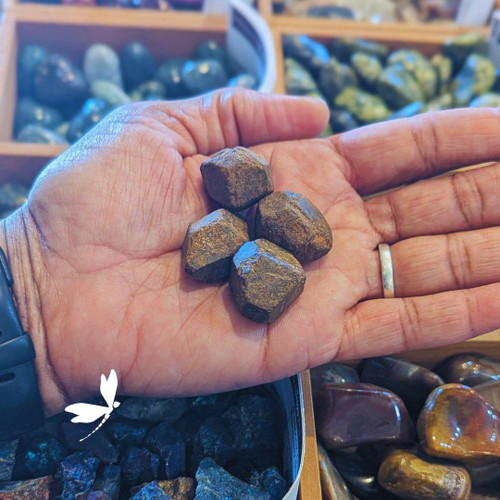 Hand holding several rough Mali Garnet stones with natural brown-green hues, displayed among other crystals at Prana Blessings Metaphysical Shop in Santa Fe.
