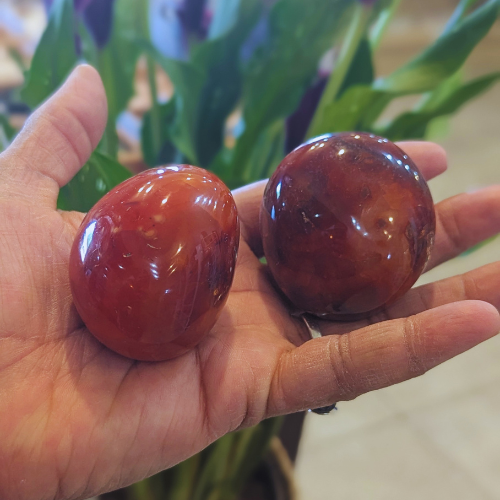 Carnelian Gallets Palm Stone