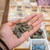 African Bloodstone Tumbled Stone | Healing Crystal