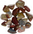 Polychrome Jasper Tumbled | Desert Jasper | Cooperation