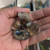 Garden Quartz | Shamanic Dream Stone | Lodolite | Scenic Quartz