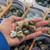 Ocean Jasper Tumbled Stone | Emotional Healing & Inner Peace