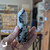 Hand holding a Rainbow Moonstone Obelisk just under 4 inches tall with black tourmaline inclusions and flashes of blue light, photographed inside Prana Blessings Metaphysical Shop in Santa Fe — crystal for intuition, emotional balance, and divine feminine energy.