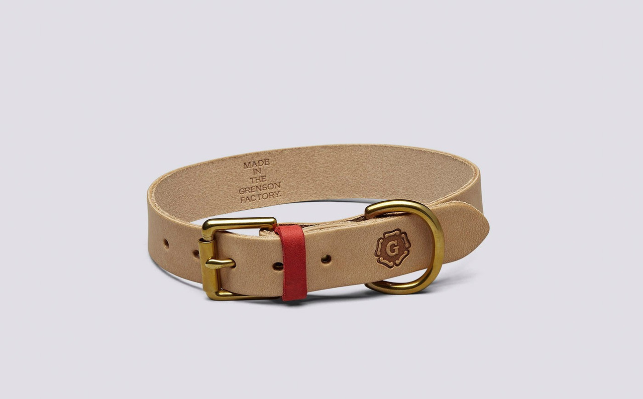 leather puppy collar