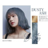 MISE EN SCENE All New Hello Bubble Hair Colour Kit #6A Dusty Ash