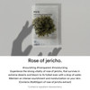 ABIB Mild Acidic pH Sheet Mask Jericho Fit 30ml