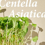 MIXSOON Soondy Centella Asiatica Essence 100ml