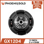 Phoenix Gold GX12D4 - GX SERIES 12' 2X4 OHM