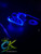 Custom Xbox 360 RGH3 system with green LED lighting and 2TB storage upgrade by ConsoleKings360.com.