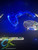 Custom Xbox 360 RGH3 with RGB LED lights and upgraded 1TB storage. Ready for digital gaming. Visit ConsoleKings360.com