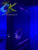 Custom Xbox 360 RGH3 console with RGB LED lighting and 2TB storage, full system view by ConsoleKings360.com.