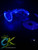Custom Xbox 360 RGH3 console with Blue LED lighting and 2TB storage, full system view by ConsoleKings360.com.
