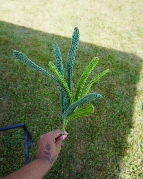 Full Picture of both color options, the dark green and green Cymbidium Leaves together