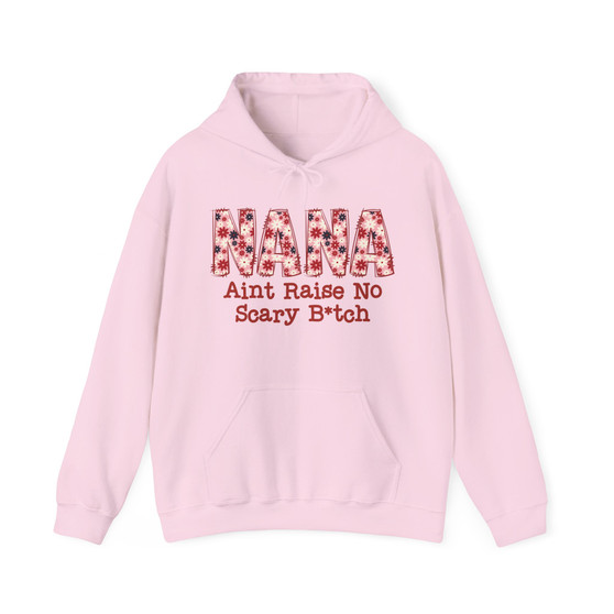 Nana Aint  Raise No Scary Bitch - Hoodie