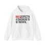 Stop Expect'n A Crackhead To Be Truthful - Hoodie