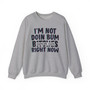 I'm Not Doin Bum Bitches Right Now - Sweatshirt (blurred)